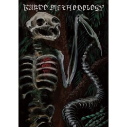 Bardo Methodology nr.4 Profanatica, Primordial, Solstice, Black Funeral, Countess etc.