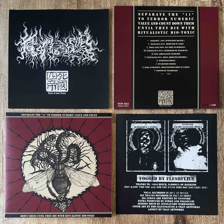 Fogged by Fleshflies -  Separate The "11" To Terror Numeric Value.. LP
