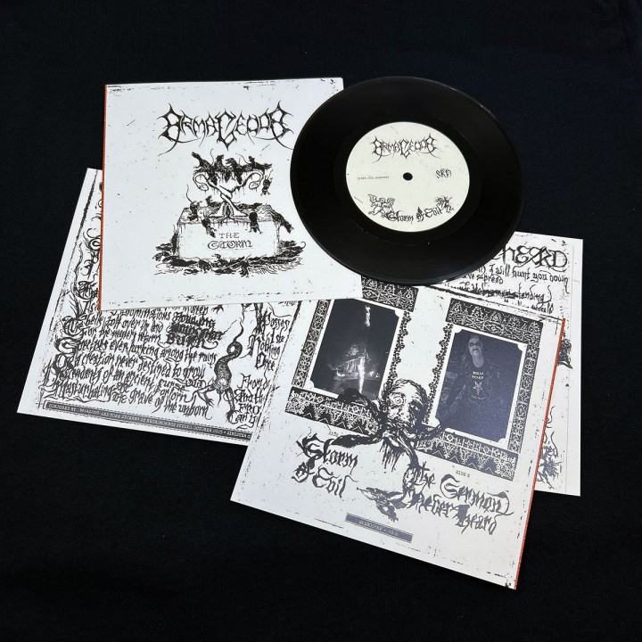 Armagedda - The Storm 7" EP