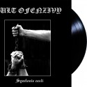 Kult Ofenzivy ‎– Symfonie Oceli LP