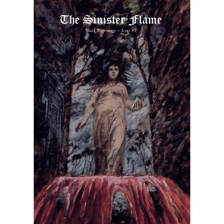 The Sinister Flame VI magazine