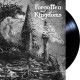 Forgotten Kingdoms - A Kingdom In Ruin LP