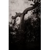 Blot - Folk TAPE