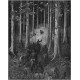 Akolouthos - Descent into the Withering Forest TAPE
