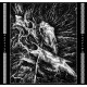 Blood Stronghold  - The Triumph Of Wolfish Destiny LP (Marbled transparent/black vinyl))