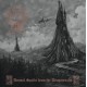 Druadan Forest - Dismal Spells from the Dragonrealm CD