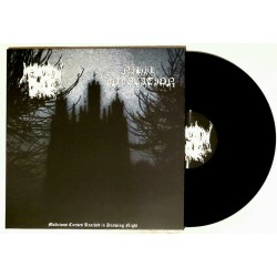 Megalith Grave / Nihil Invocation - Split LP