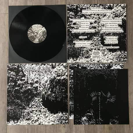 Ctenizidae - Undimensional Wasteland of Plague and Withering Throats LP