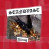 Standvast - Allenig Digipak-CD