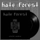 Hate Forest - Celestial Wanderer 7" EP