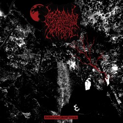 Moonshrine – Hallucinatory Forest Rituals LP