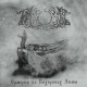 Temnozor – Сумерки На Похоронах Зимы / Twilights On The Winter Funeral DLP