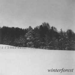 Goatmoon / Dead Reptile Shrine - Winterforest LP (Black vinyl)