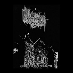 An Old Sad Ghost ‎– Murmur Of The Liquid Forest TAPE