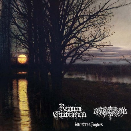 Regnum Tenebrarum / Hertogenwald - Split CD