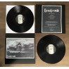 Demstervold - Afgrondstocht Test-press LP
