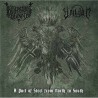 Kvasir's Blood / Vrildom - A Pact of Steel from North to South CD