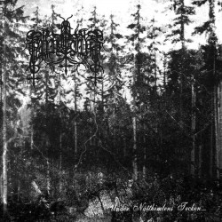 Muvitium - Under Natthimlens Tecken CD