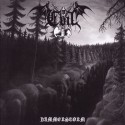 Evil - Hammerstorm CD