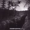 Evil - Hammerstorm CD