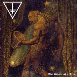 Drowning the Light - The Ghost of a Flea/Lurker of the Void LP