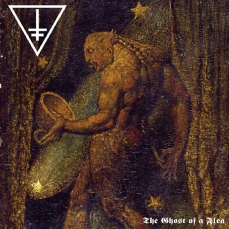 Drowning the Light - The Ghost of a Flea/Lurker of the Void LP