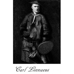 Nervatuur - 3: Carl Linnaeus demo Tape