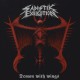 Sadistik Exekution – Demon with Wings 7" EP