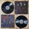 Muvitium -  Through the Veil of Medieval Prophecies LP