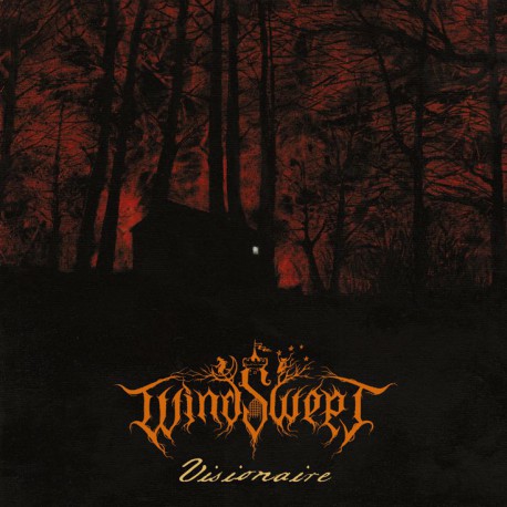 Windswept – Visionaire LP (Orange vinyl)