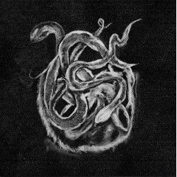 Леший / Звёздный Храм / Крошка Нетопырь и Малыш Мёртвая Голова / Вельд Губительный Сговор DLP