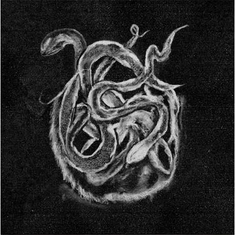 Леший / Звёздный Храм / Крошка Нетопырь и Малыш Мёртвая Голова / Вельд Губительный Сговор DLP