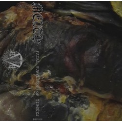 Melth - Fatal Suffusion of Tissues TAPE