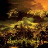 Ogień Astralny - Forgotten Hymns of Erdöelve CD