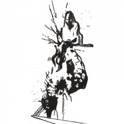 Bilirubin - Bilirubin LP