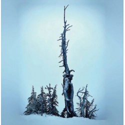 Kurgan - Ascetic Dissociations LP