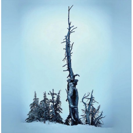 Kurgan - Ascetic Dissociations LP