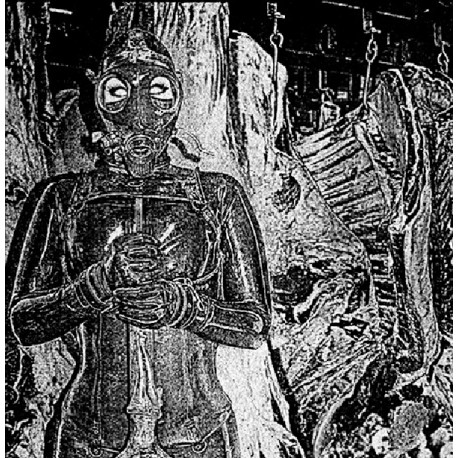 The True Werwolf – Wolf Metal Armageddon DLP (Colour vinyl)