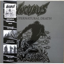 Incubus  – Supernatural Death LP (Grey marble vinyl + OBI)
