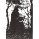 Nortfalke - Kaunloft CD