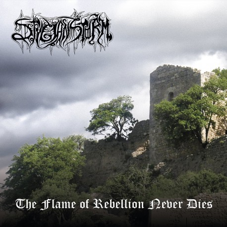Stygian Storm  - The Flame of Rebelllion Never Dies Digipak-CD