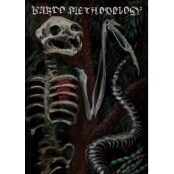 Bardo Methodology nr.4 Profanatica, Primordial, Solstice, Black Funeral, Countess etc.