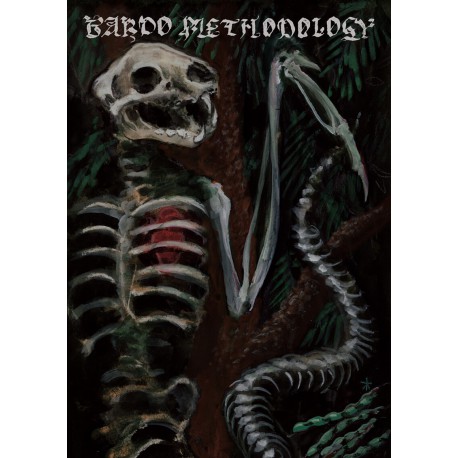 Bardo Methodology nr.4 Profanatica, Primordial, Solstice, Black Funeral, Countess etc.