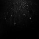Warloghe - Logos Of All That Ends CD