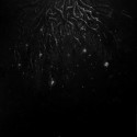 Warloghe - Logos Of All That Ends CD