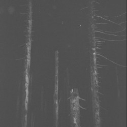 Brånd - Tåg & Nåcht LP