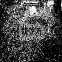 Arid - Harvesting the Toil of Flesh Beyond the Entombment of the Extinction That it Bore CD