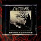 Old Tower - Remembrance of the Lone Enclave CD