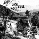 Fera - Aristocràcia Rural MCD
