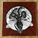 Fogged by Fleshflies -  Separate The "11" To Terror Numeric Value.. TEST PRESS LP